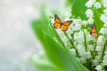 2 papiilons oranges et noirs avec des brins de muguet