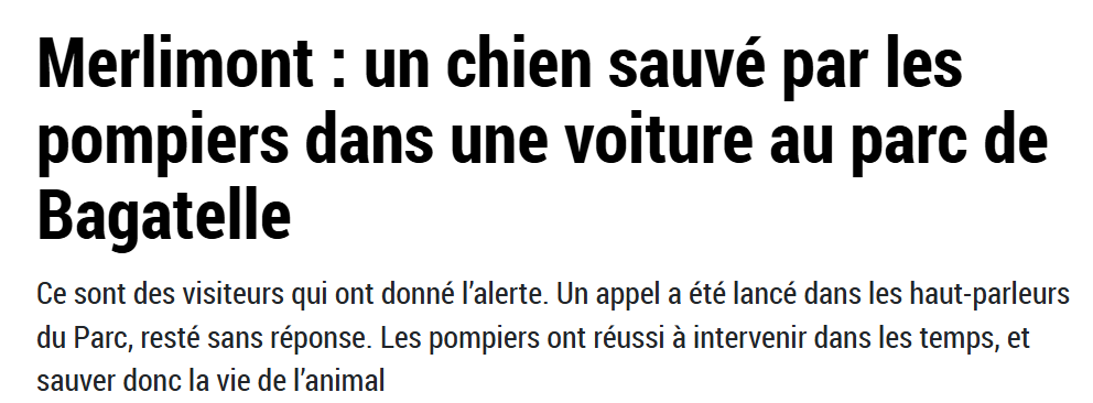 Pompiers de Merlimont sauvant un chien enfermé dans une voiture au parc de Bagatelle, grâce à l’alerte des visiteurs.